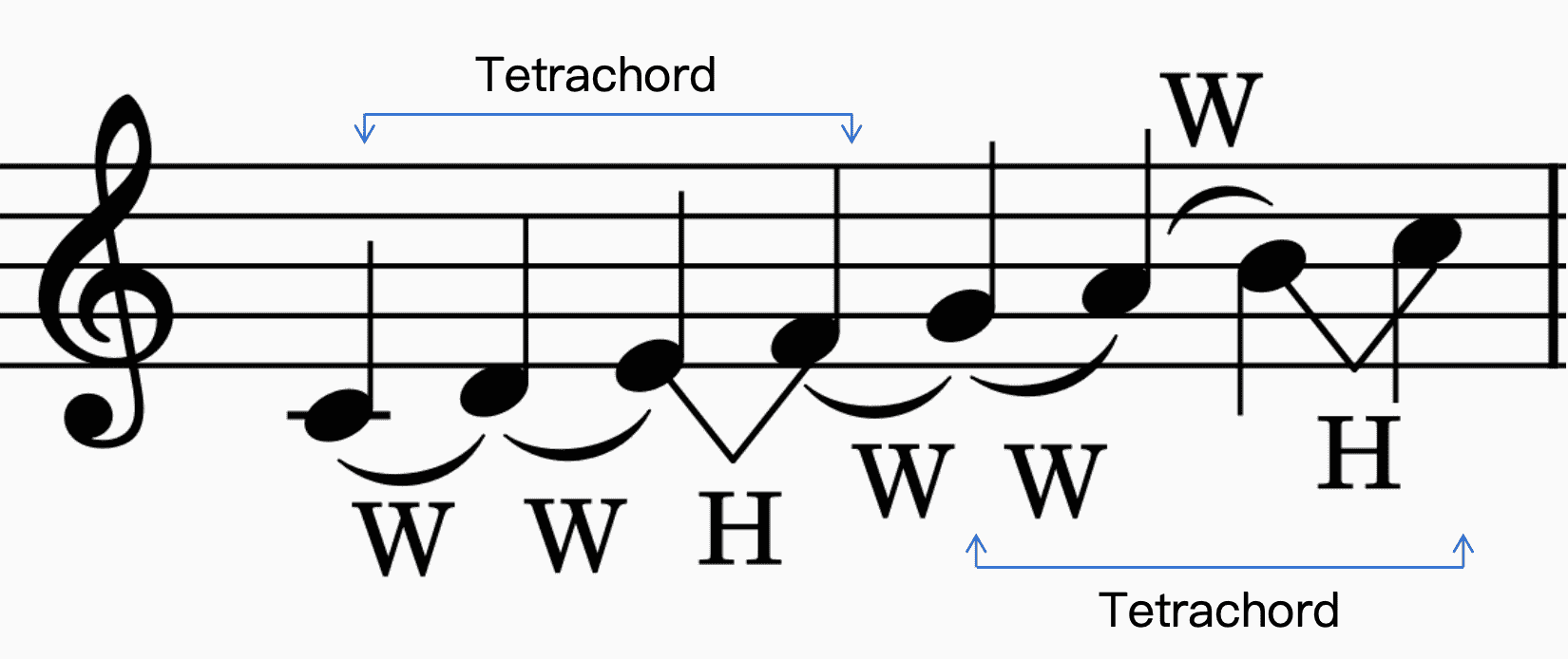 Example of half steps and whole steps
